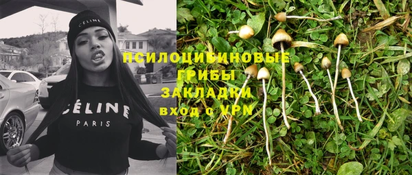 бошки Алексеевка