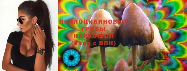 стаф Алексин