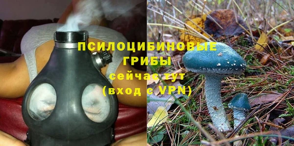 стаф Алексин
