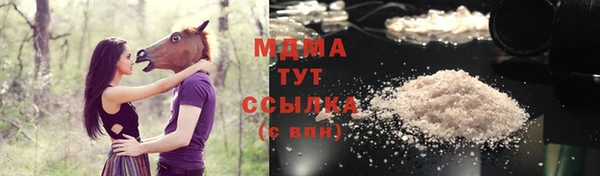 стаф Алексин