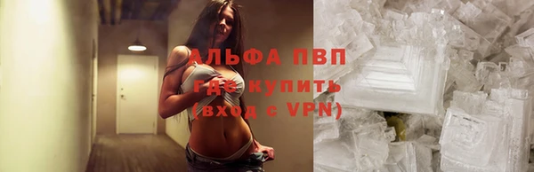 эйфоретик Алзамай