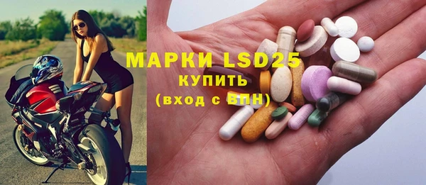 стаф Алексин