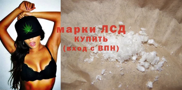 стаф Алексин