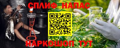 шишки Абакан