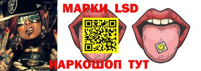 шишки Абакан
