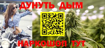 шишки Абакан