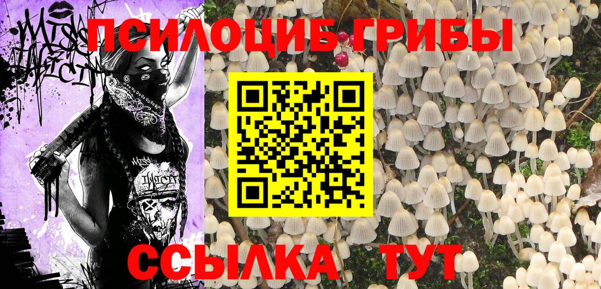 Галлюциногенные грибы MAGIC MUSHROOMS Анжеро-Судженск