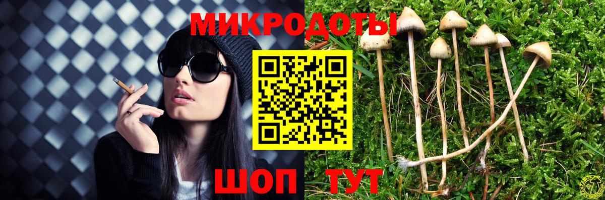Псилоцибиновые грибы прущие грибы  Вход с VPN  Псилоцибиновые грибы Psilocybe  Анжеро-Судженск 